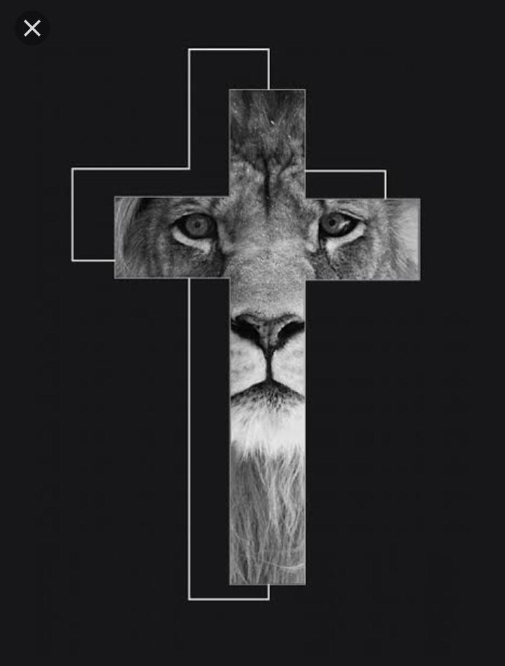 CAMISETA CRUZ LEON  2003 / HOMBRE